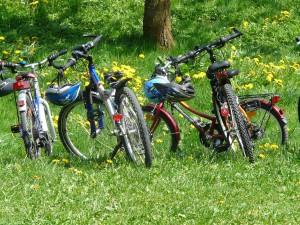 Fahrradtour am Niederrhein